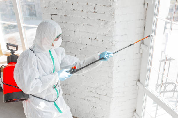 Best Commercial Mold Inspection in USA